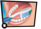 Toothbrush brushing along biting surface of teeth